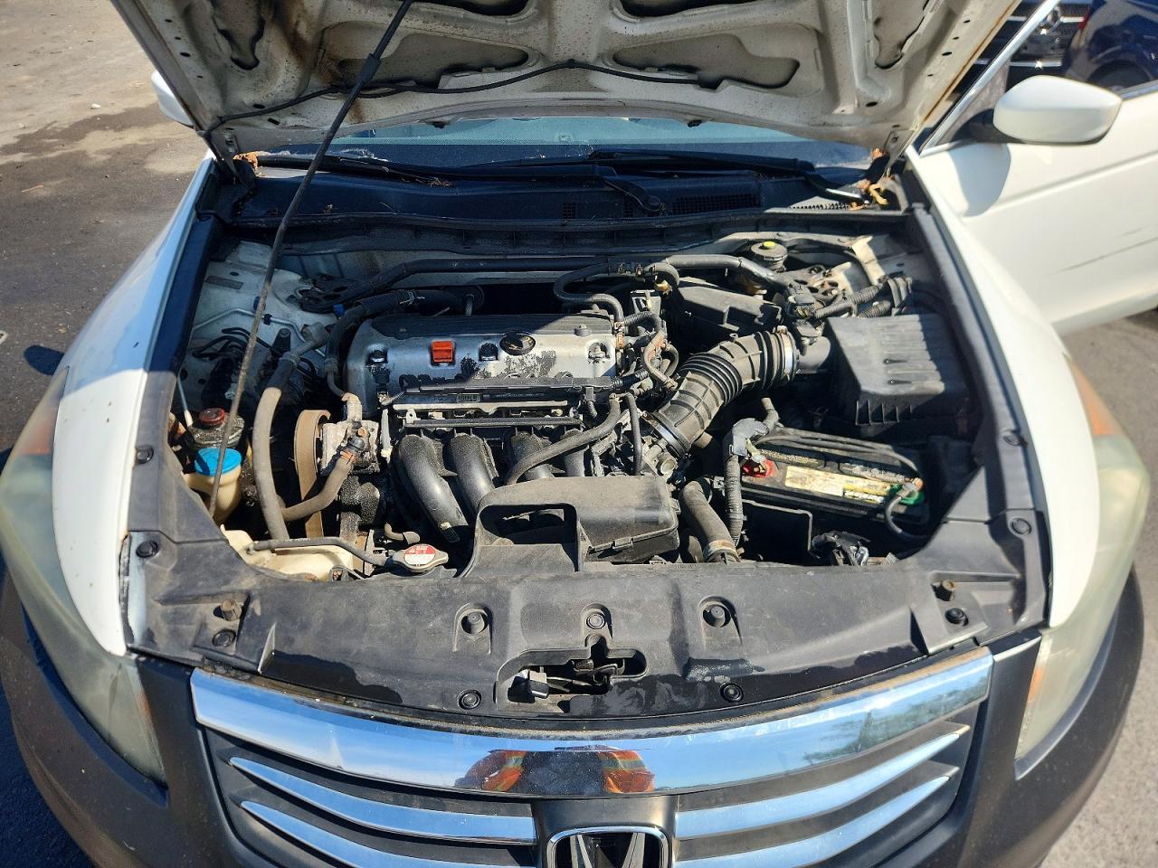 2012 Honda Accord Exl White vin: 1HGCP2F81CA058023
