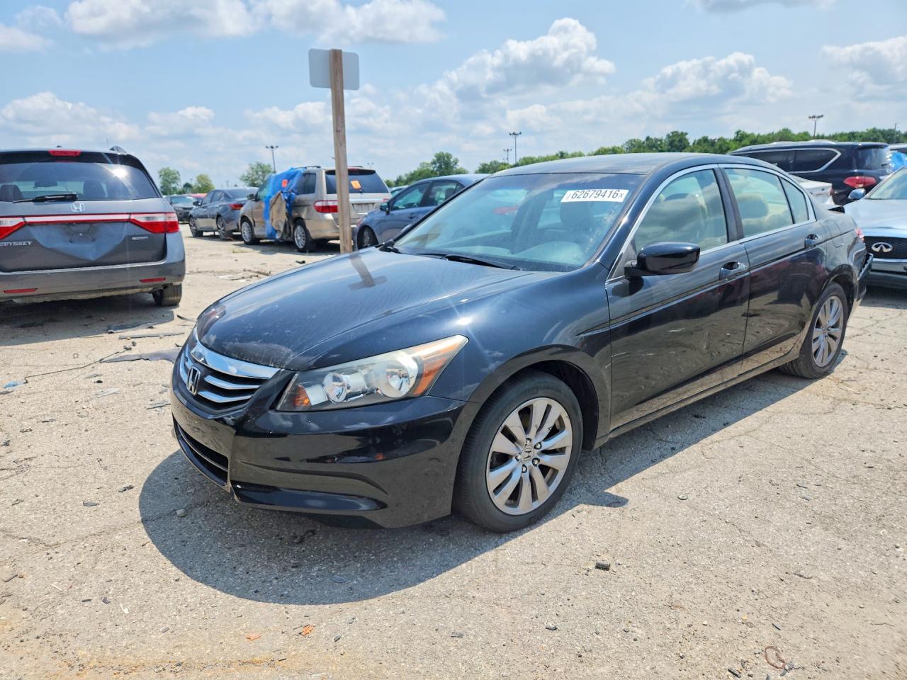 2012 Honda Accord Exl Black vin: 1HGCP2F81CA084282