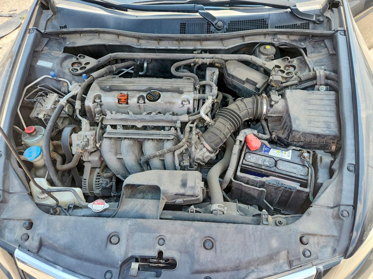 2012 Honda Accord Exl Black vin: 1HGCP2F81CA084282