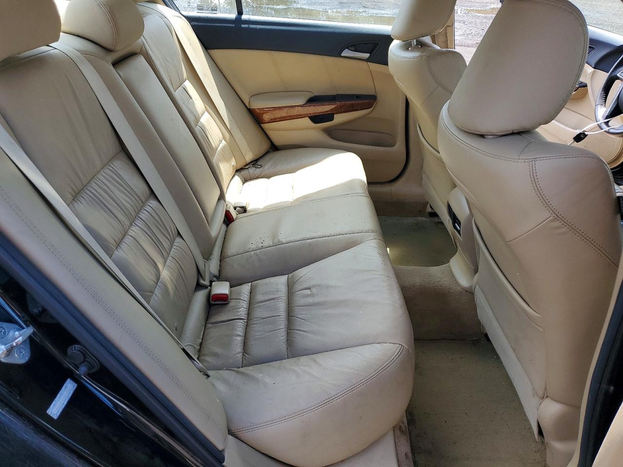 2012 Honda Accord Exl Black vin: 1HGCP2F81CA109570