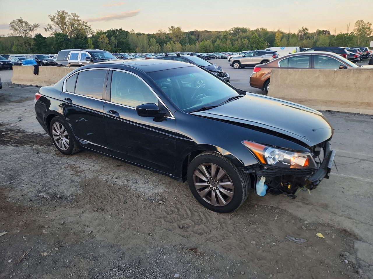2012 Honda Accord Exl Black vin: 1HGCP2F81CA140351