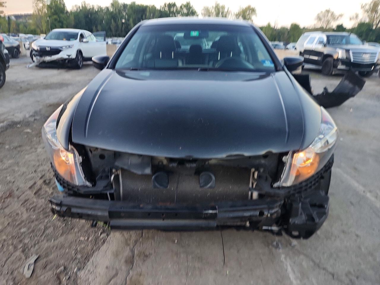 2012 Honda Accord Exl Black vin: 1HGCP2F81CA140351