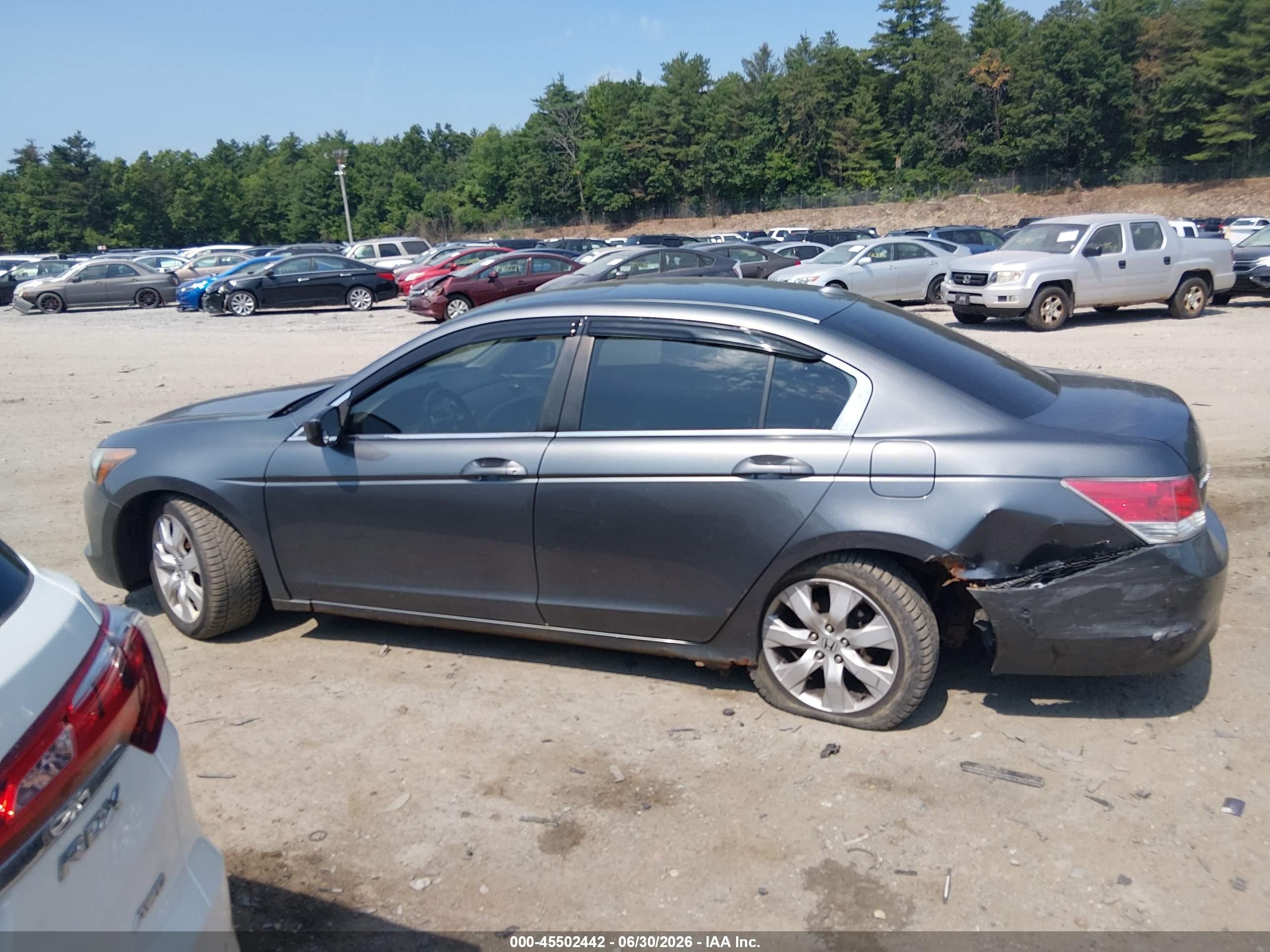 2010 Honda Accord 2.4 Ex-l Серый vin: 1HGCP2F82AA066340