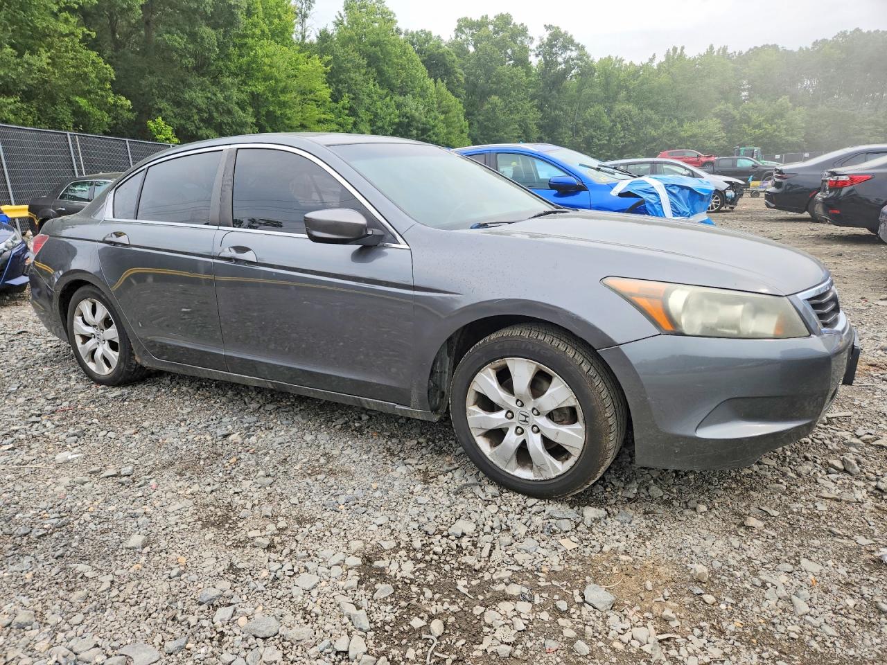 2010 Honda Accord Exl Gray vin: 1HGCP2F82AA099466