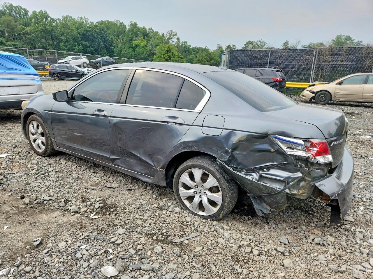 2010 Honda Accord Exl Gray vin: 1HGCP2F82AA099466