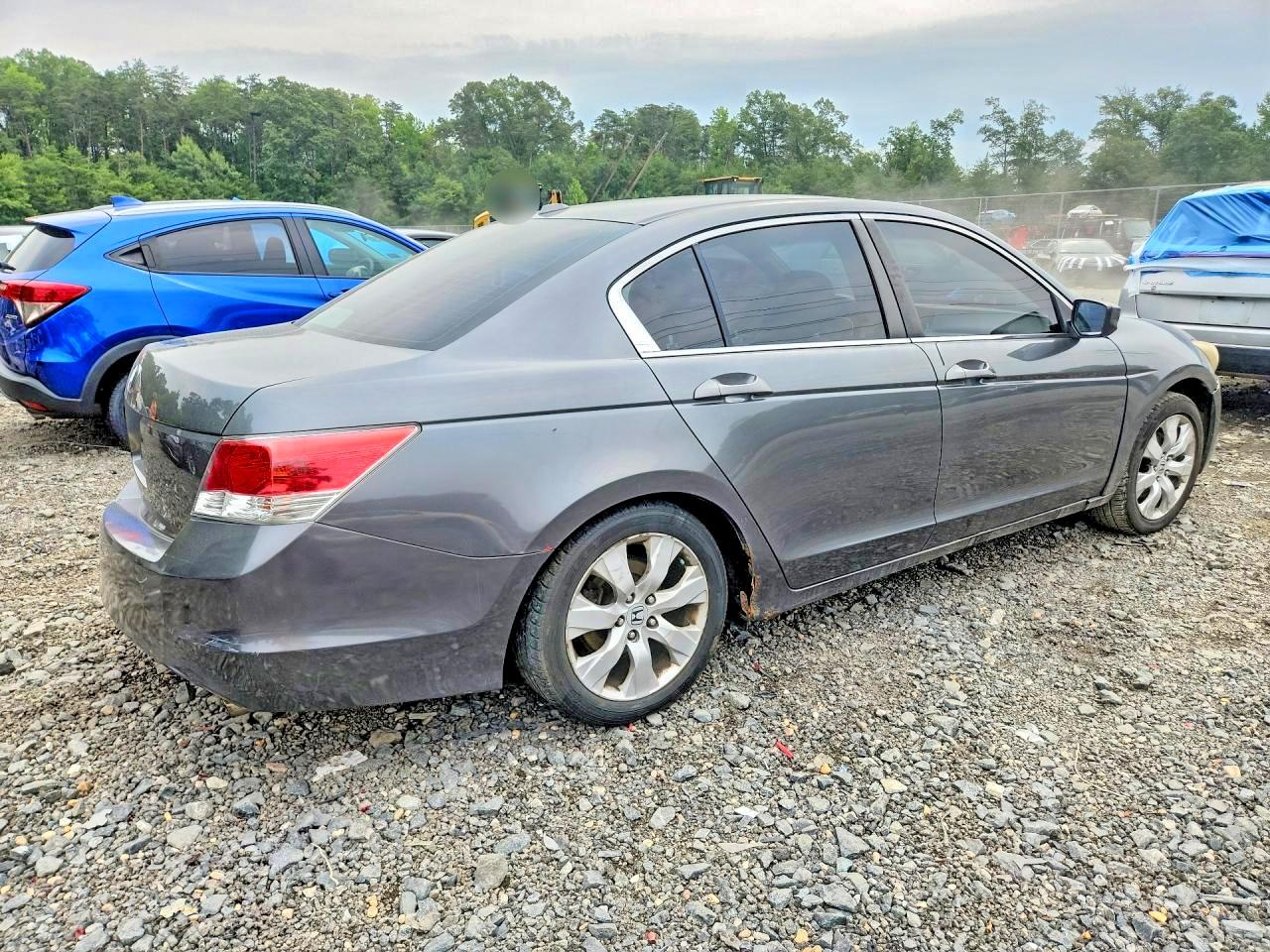 2010 Honda Accord Exl Gray vin: 1HGCP2F82AA099466