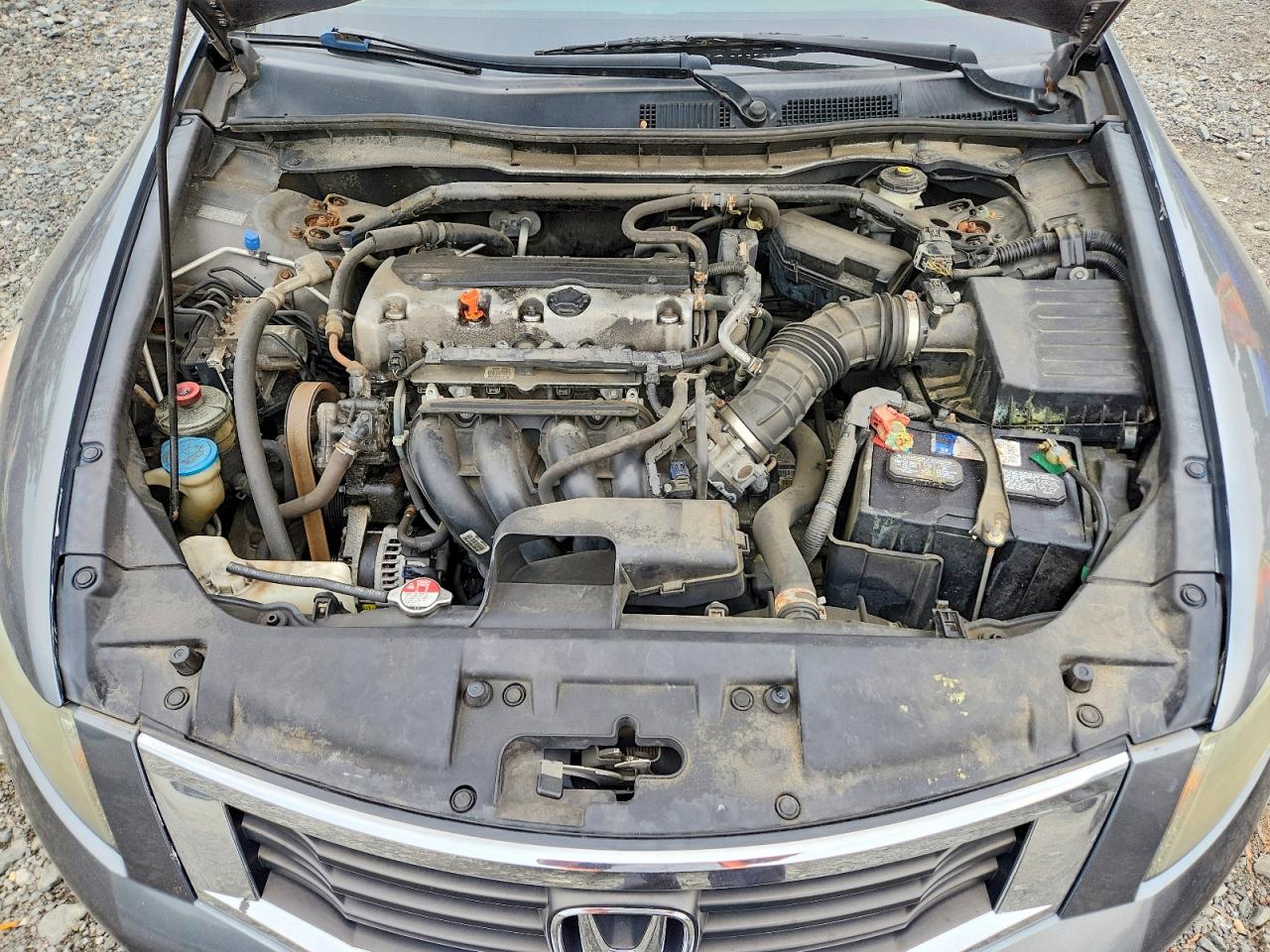 2010 Honda Accord Exl Gray vin: 1HGCP2F82AA099466