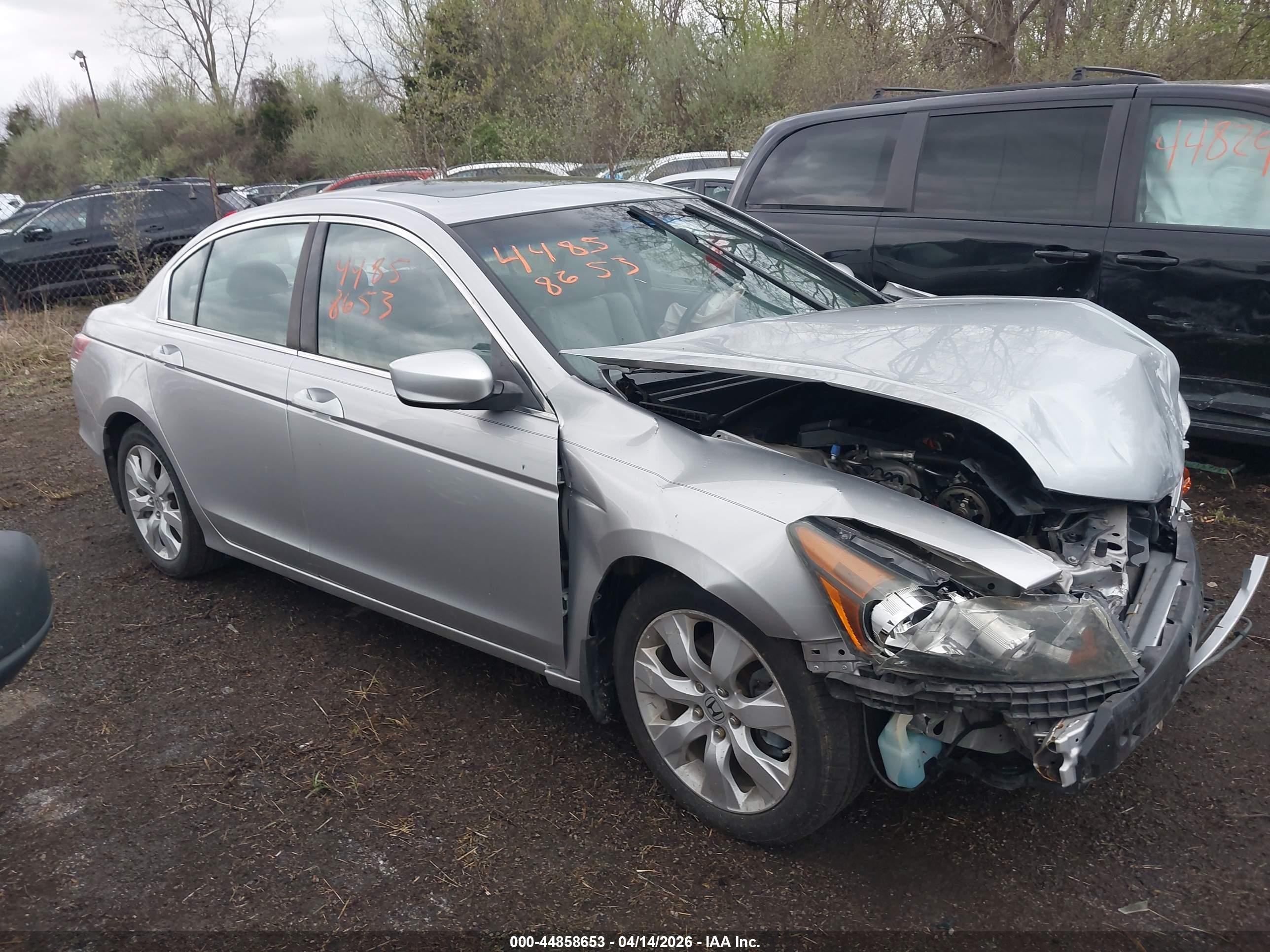 2010 Honda Accord 2.4 Ex-l Silver vin: 1HGCP2F82AA173761