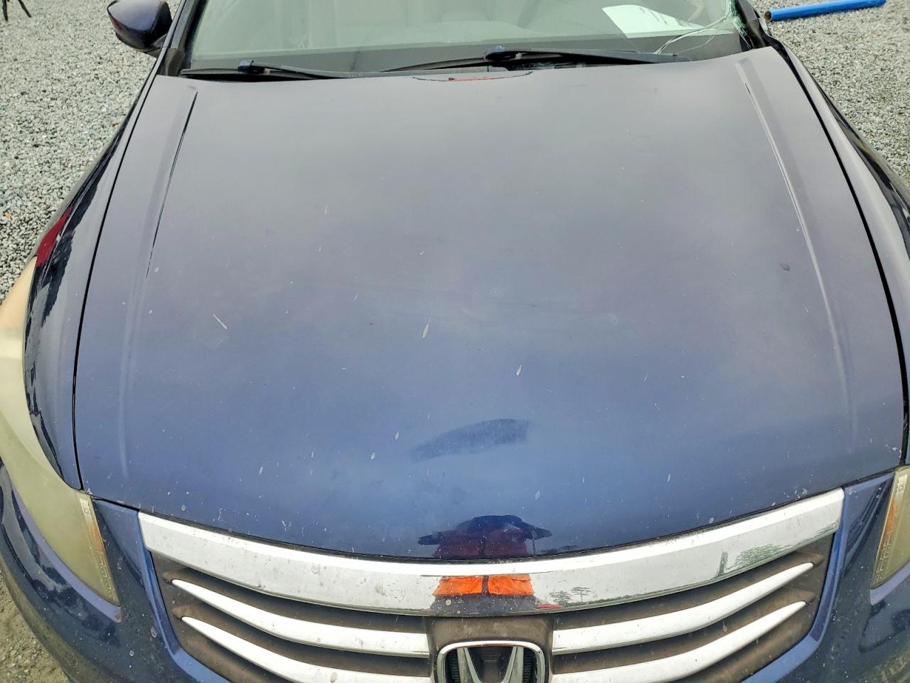 2011 Honda Accord Exl Blue vin: 1HGCP2F82BA040967