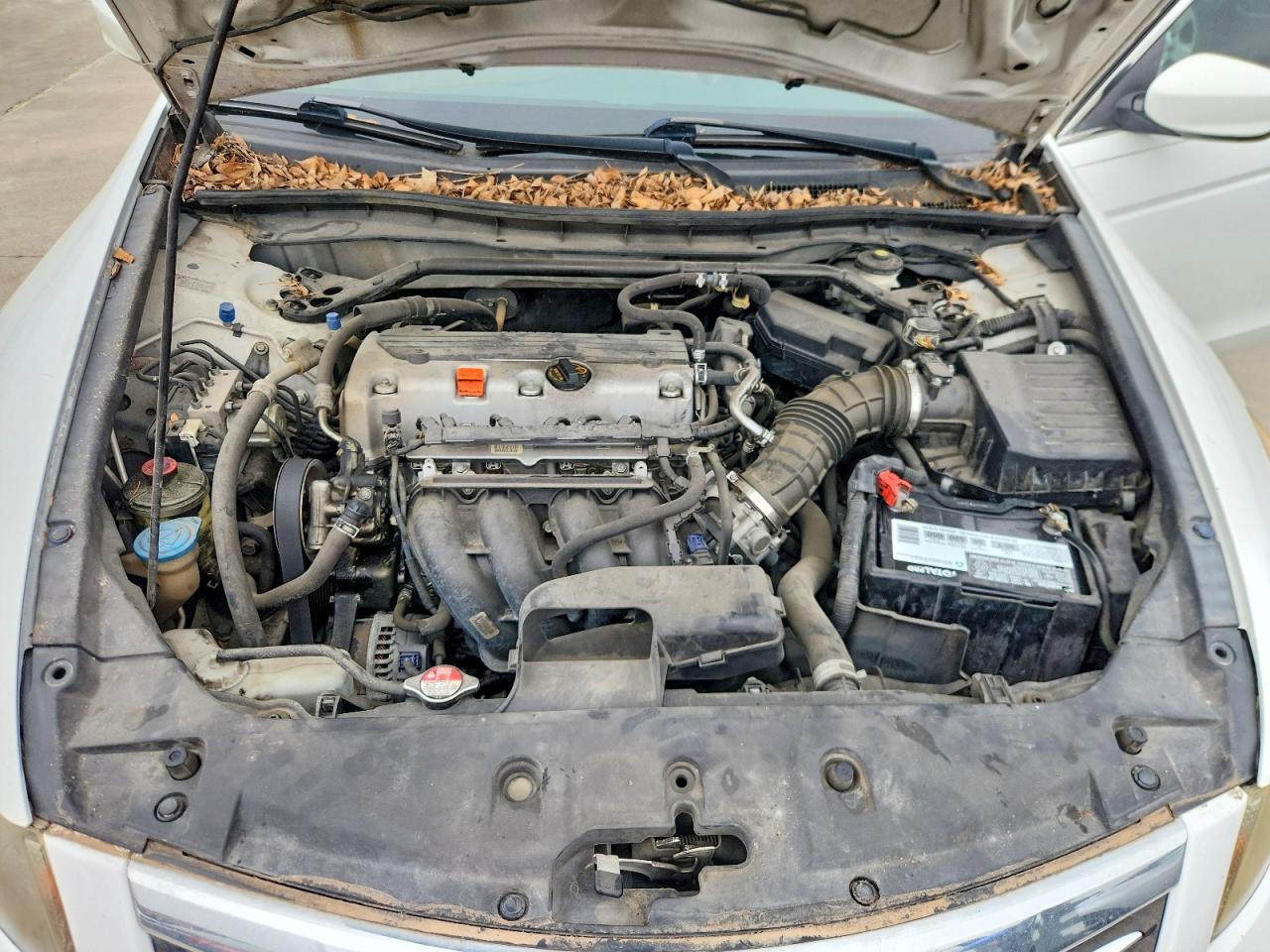 2012 Honda Accord Exl Белый vin: 1HGCP2F82CA006870