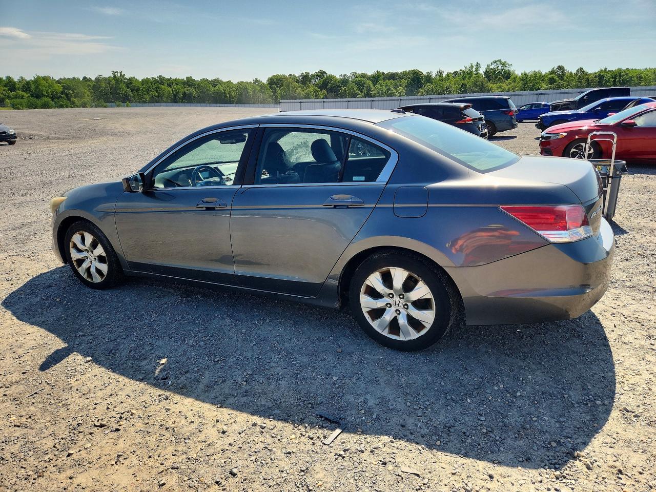 2010 Honda Accord Exl Серый vin: 1HGCP2F83AA026638