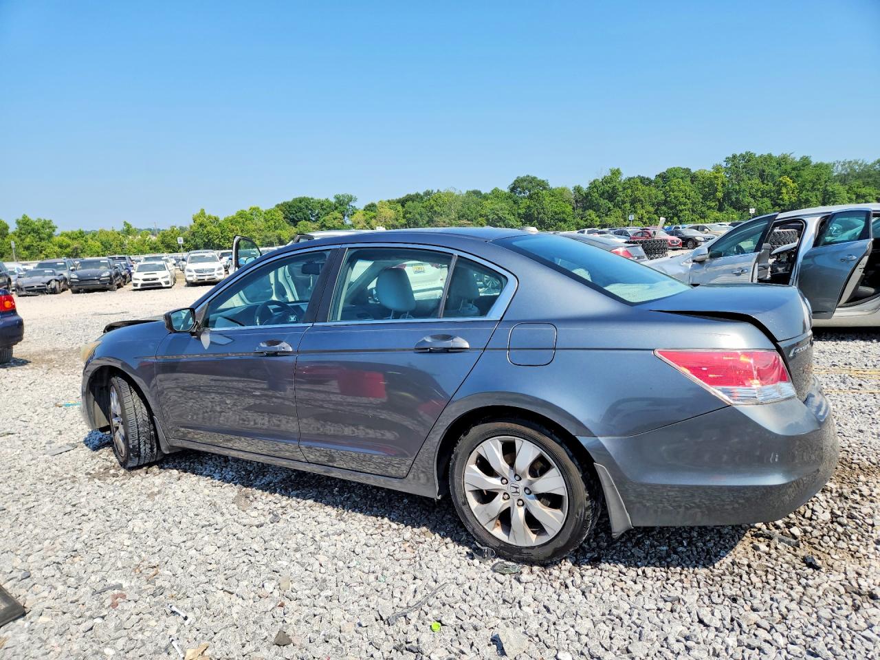 2010 Honda Accord Exl Gray vin: 1HGCP2F83AA122513