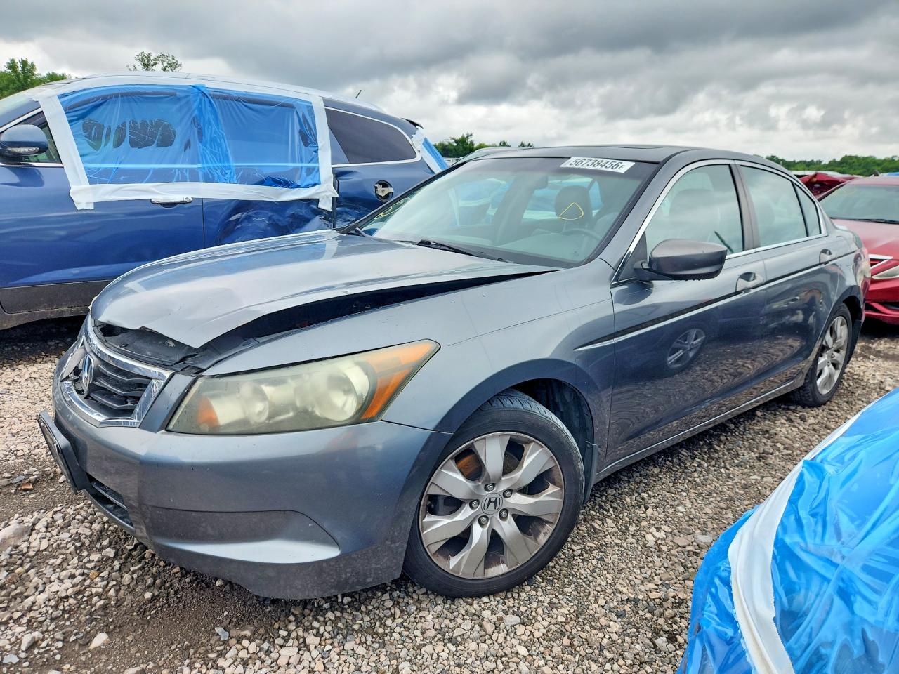 2010 Honda Accord Exl Gray vin: 1HGCP2F83AA122513