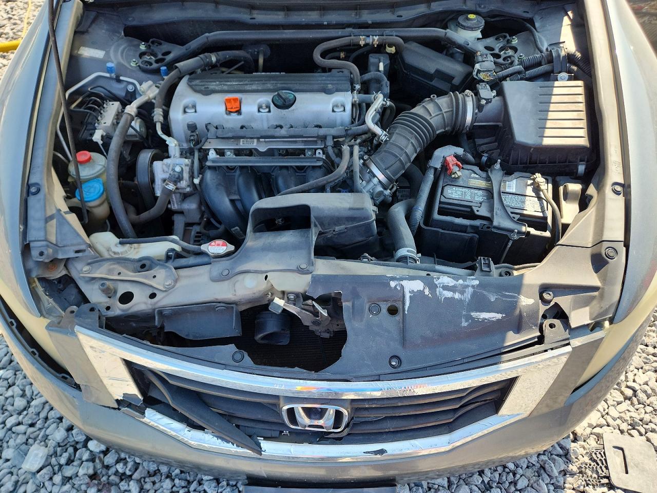 2010 Honda Accord Exl Gray vin: 1HGCP2F83AA122513