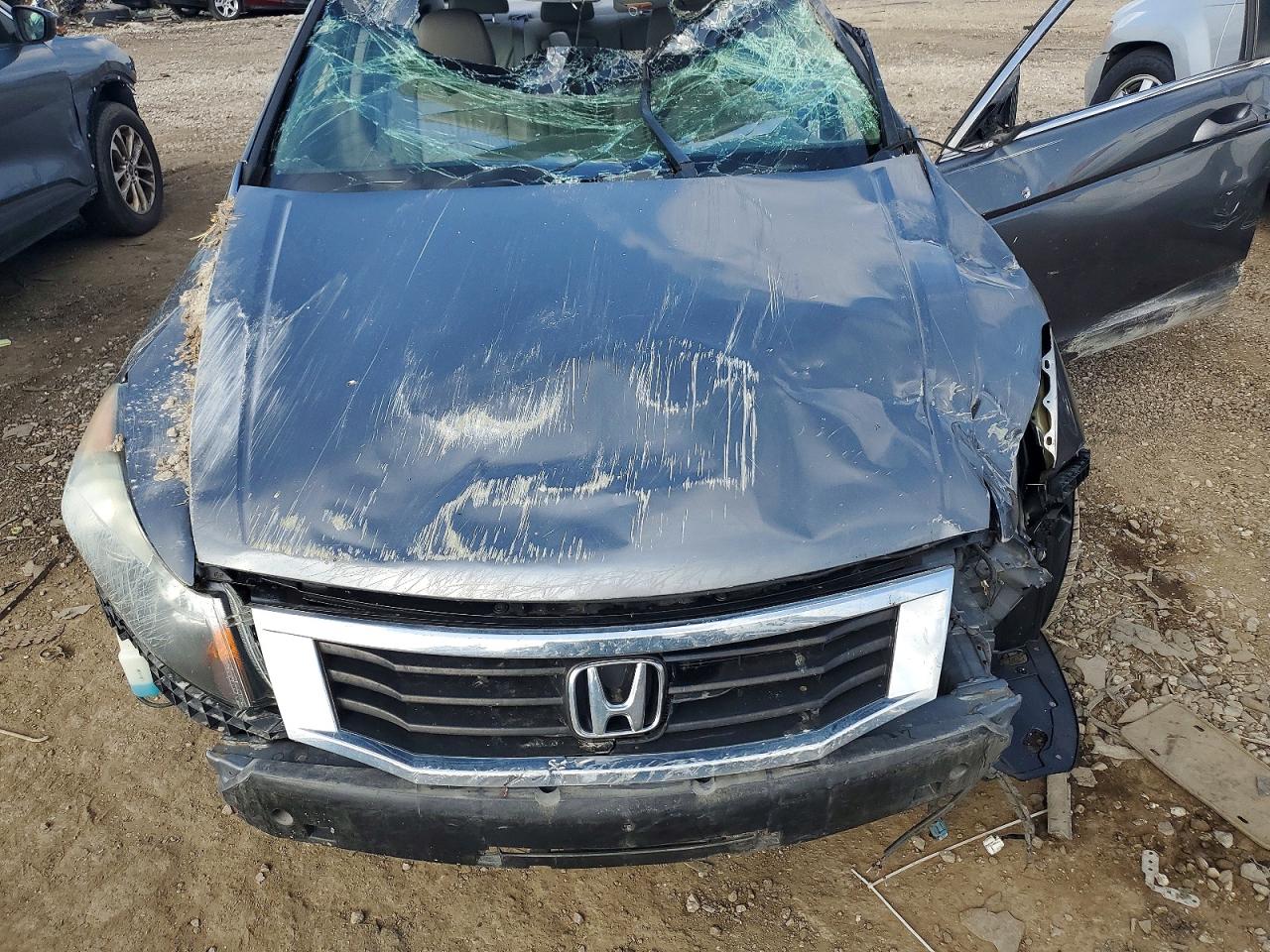 2010 Honda Accord Exl Gray vin: 1HGCP2F83AA148559