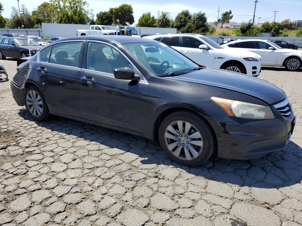 2011 Honda Accord Exl Черный vin: 1HGCP2F83BA004222