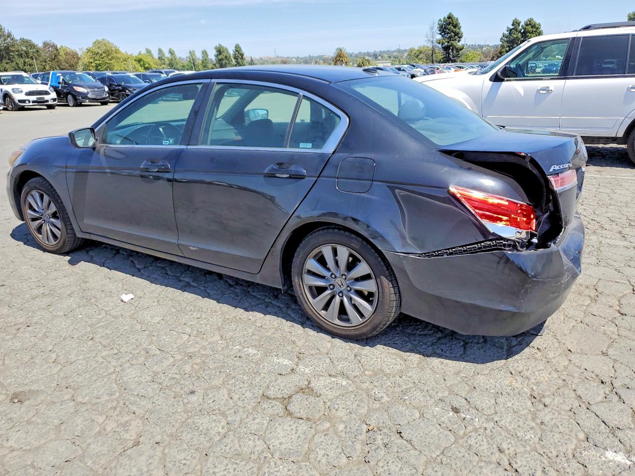 2011 Honda Accord Exl Черный vin: 1HGCP2F83BA004222