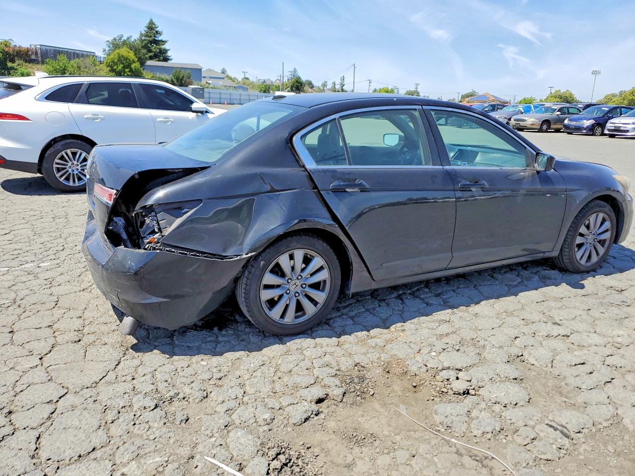 2011 Honda Accord Exl Черный vin: 1HGCP2F83BA004222