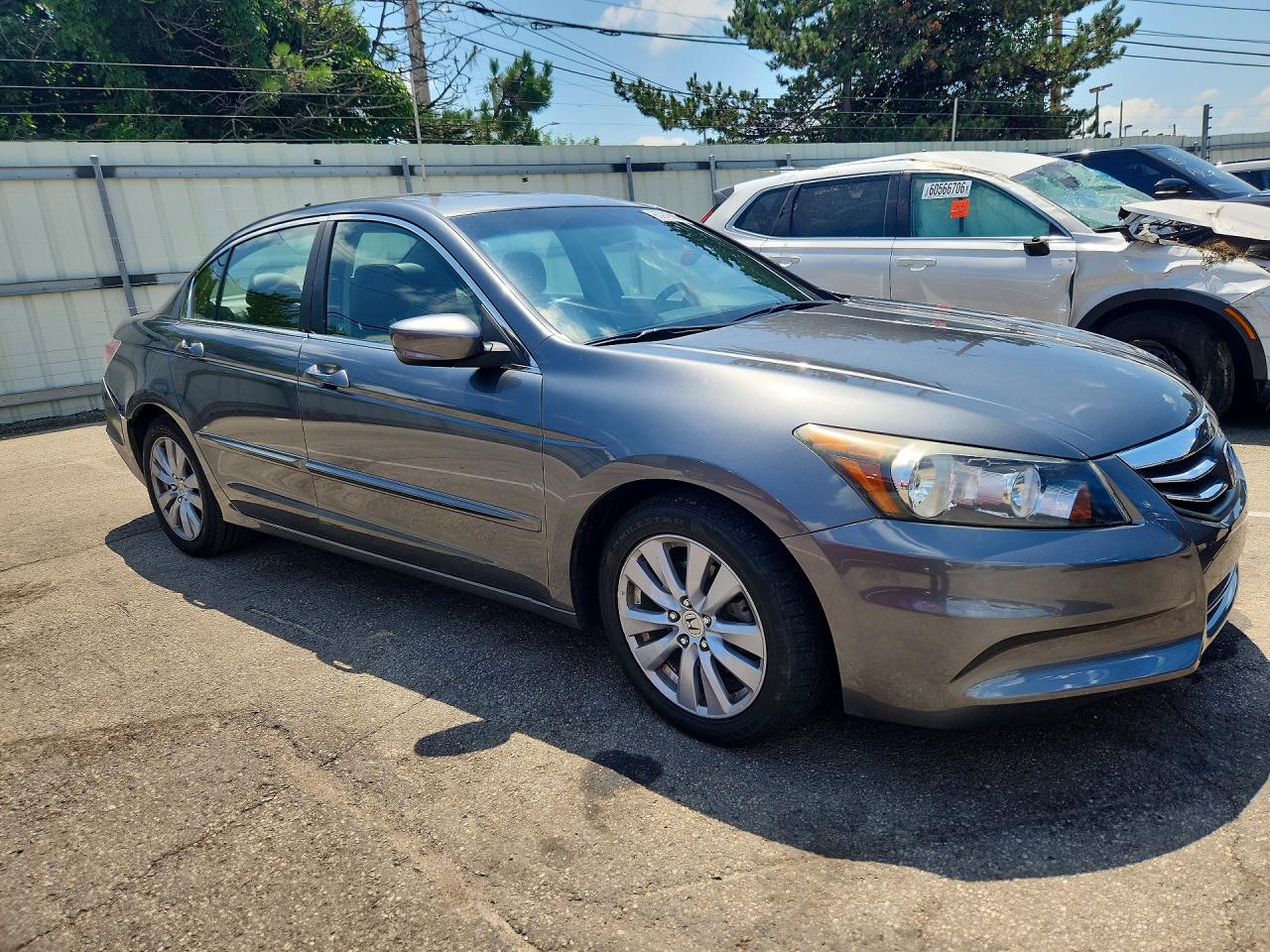 2011 Honda Accord Exl Gray vin: 1HGCP2F83BA034045