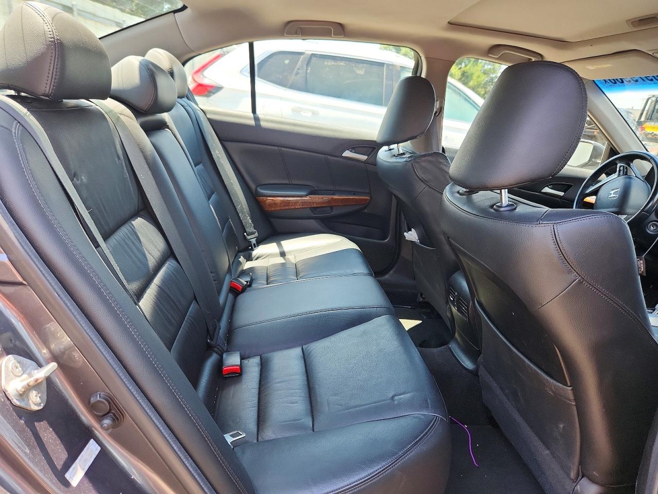 2011 Honda Accord Exl Gray vin: 1HGCP2F83BA034045