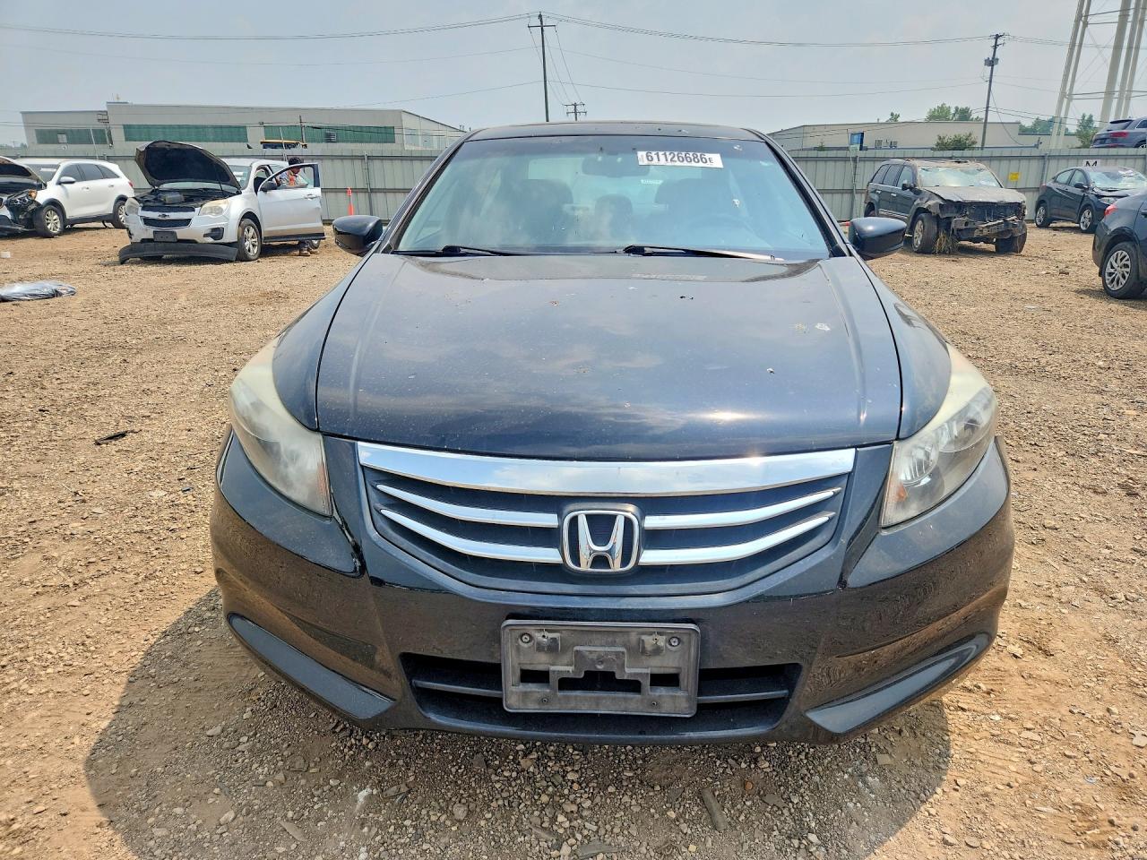 2011 Honda Accord Exl Black vin: 1HGCP2F83BA038001