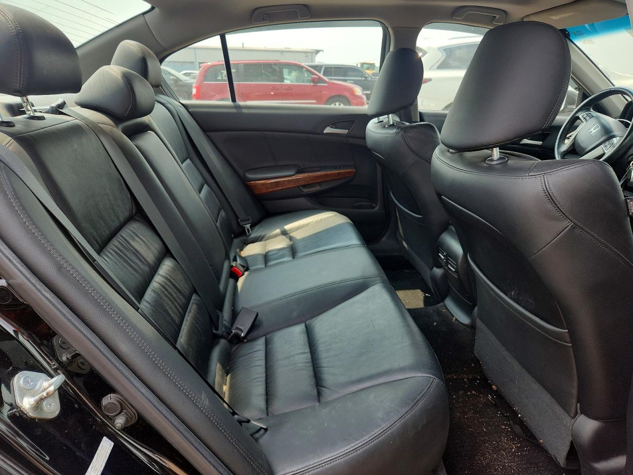 2011 Honda Accord Exl Black vin: 1HGCP2F83BA038001