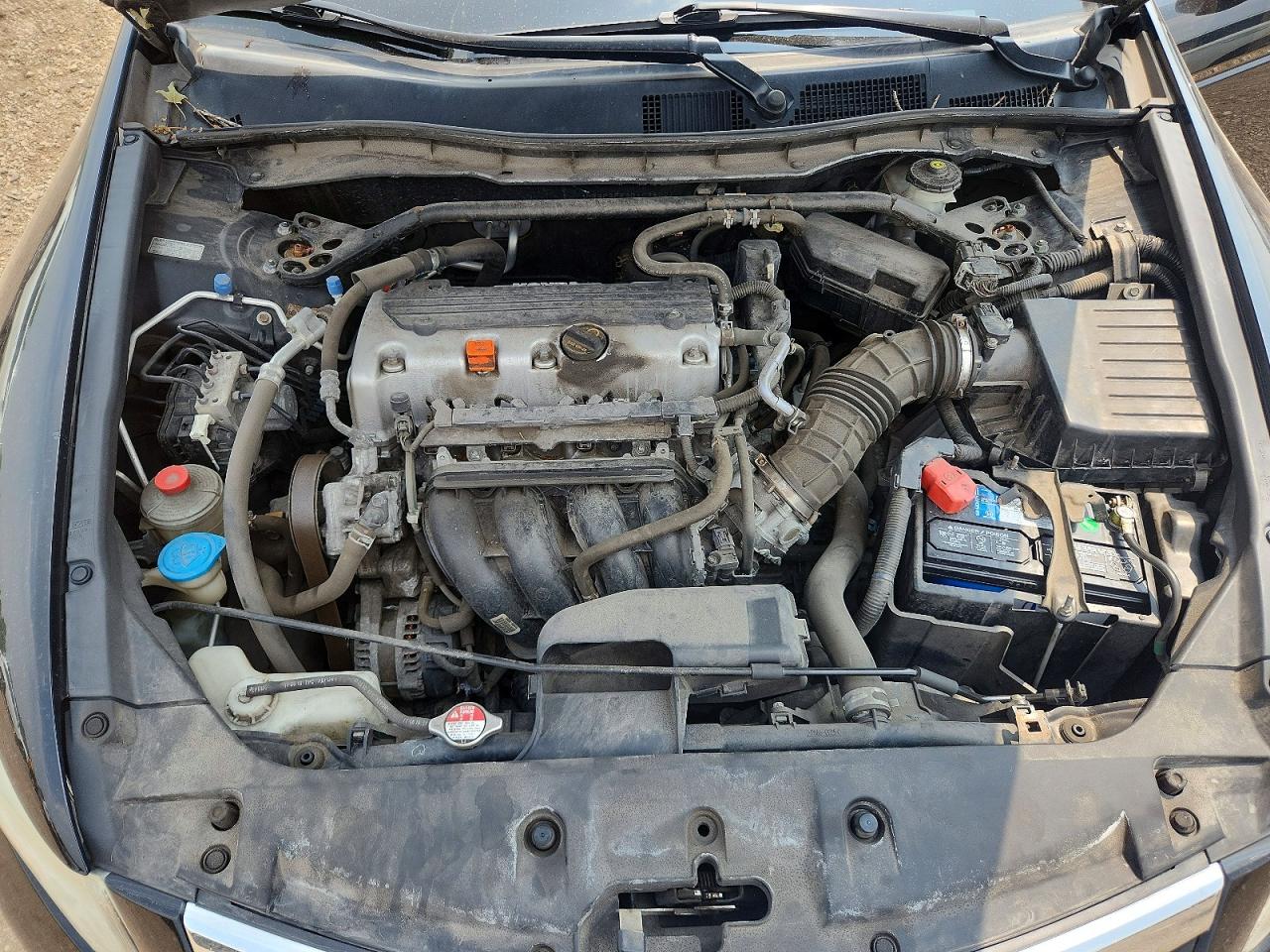 2011 Honda Accord Exl Black vin: 1HGCP2F83BA038001