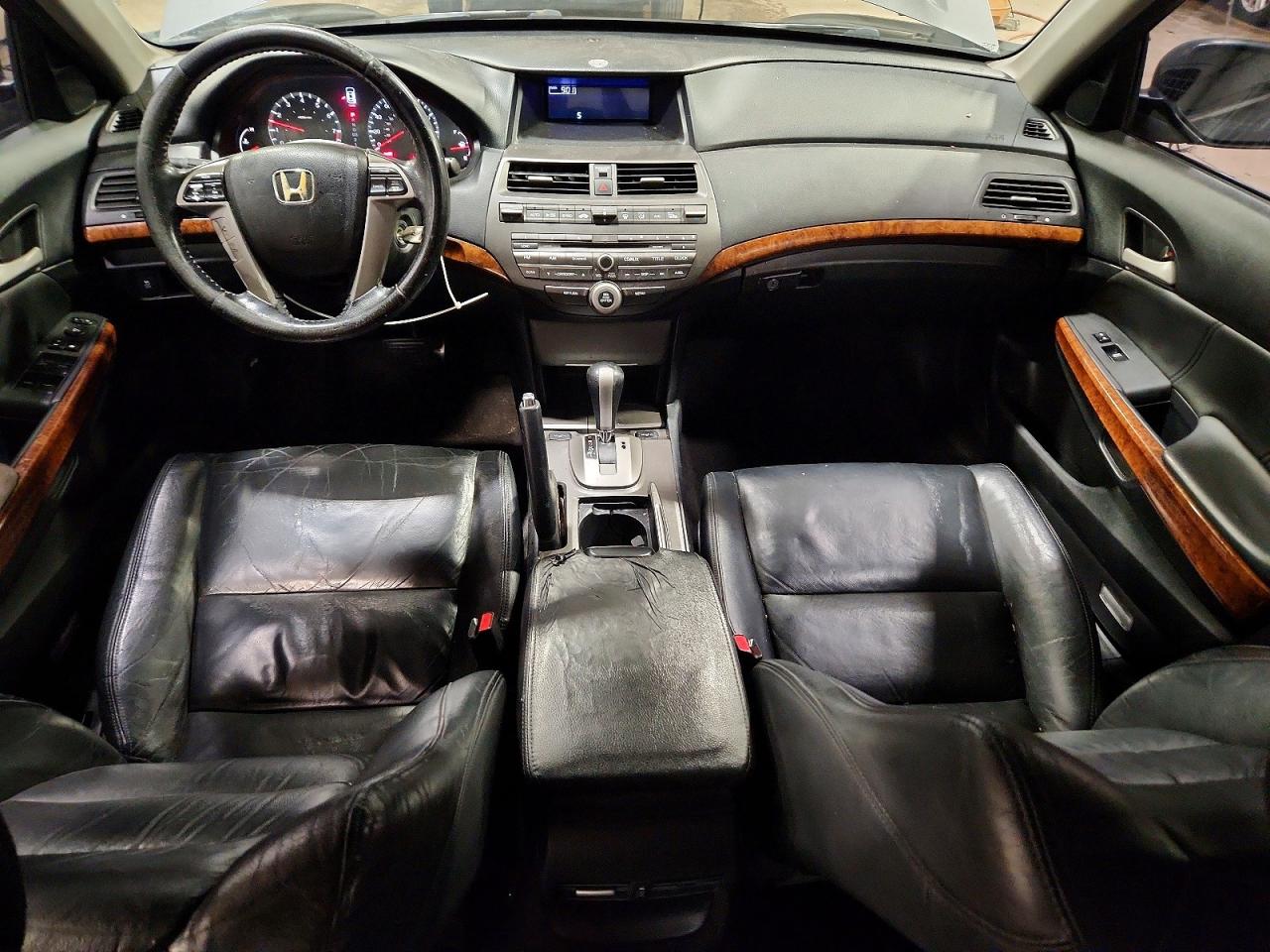2011 Honda Accord Exl Gray vin: 1HGCP2F83BA053212