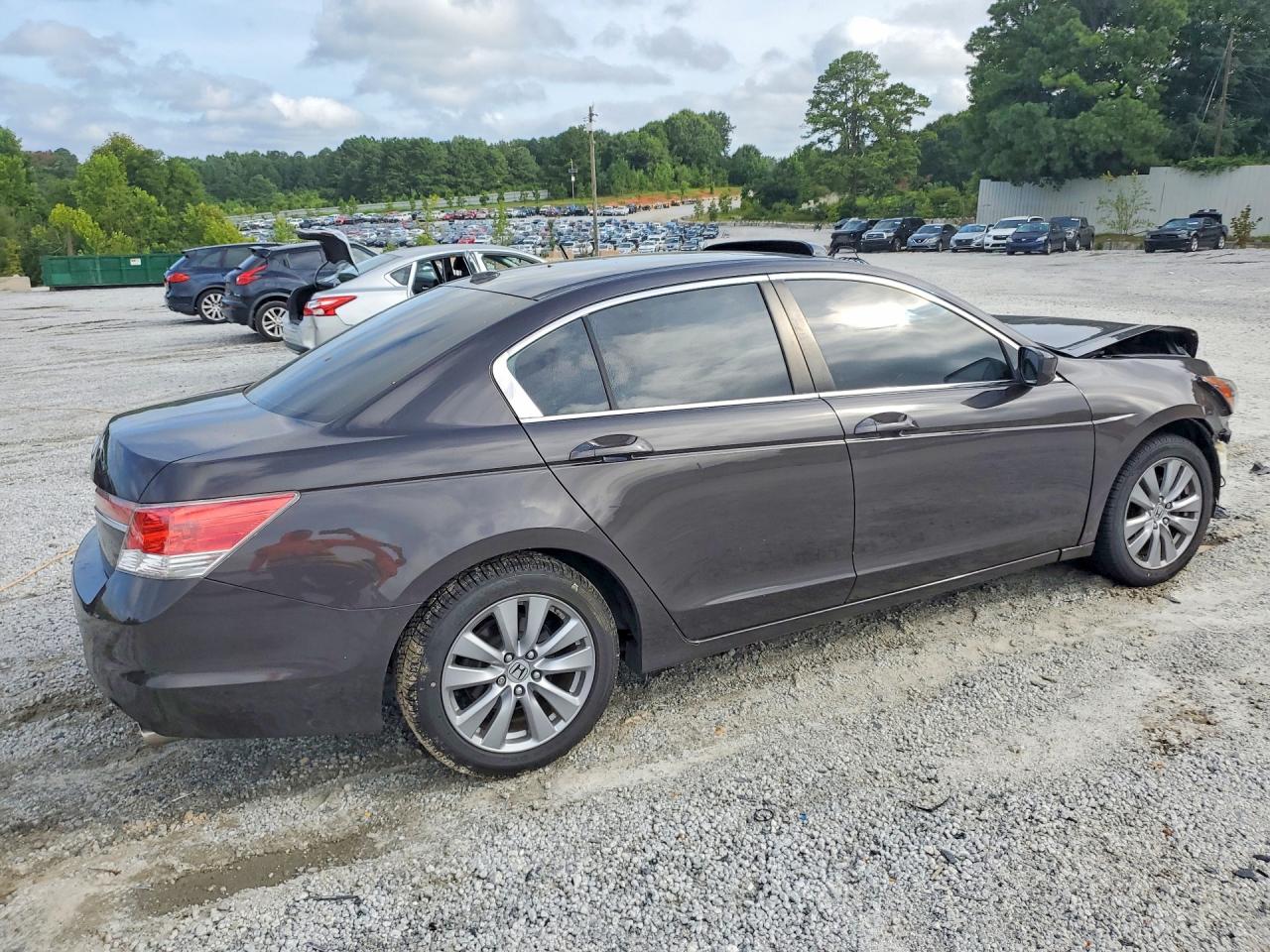 2011 Honda Accord Exl Tan vin: 1HGCP2F83BA111352
