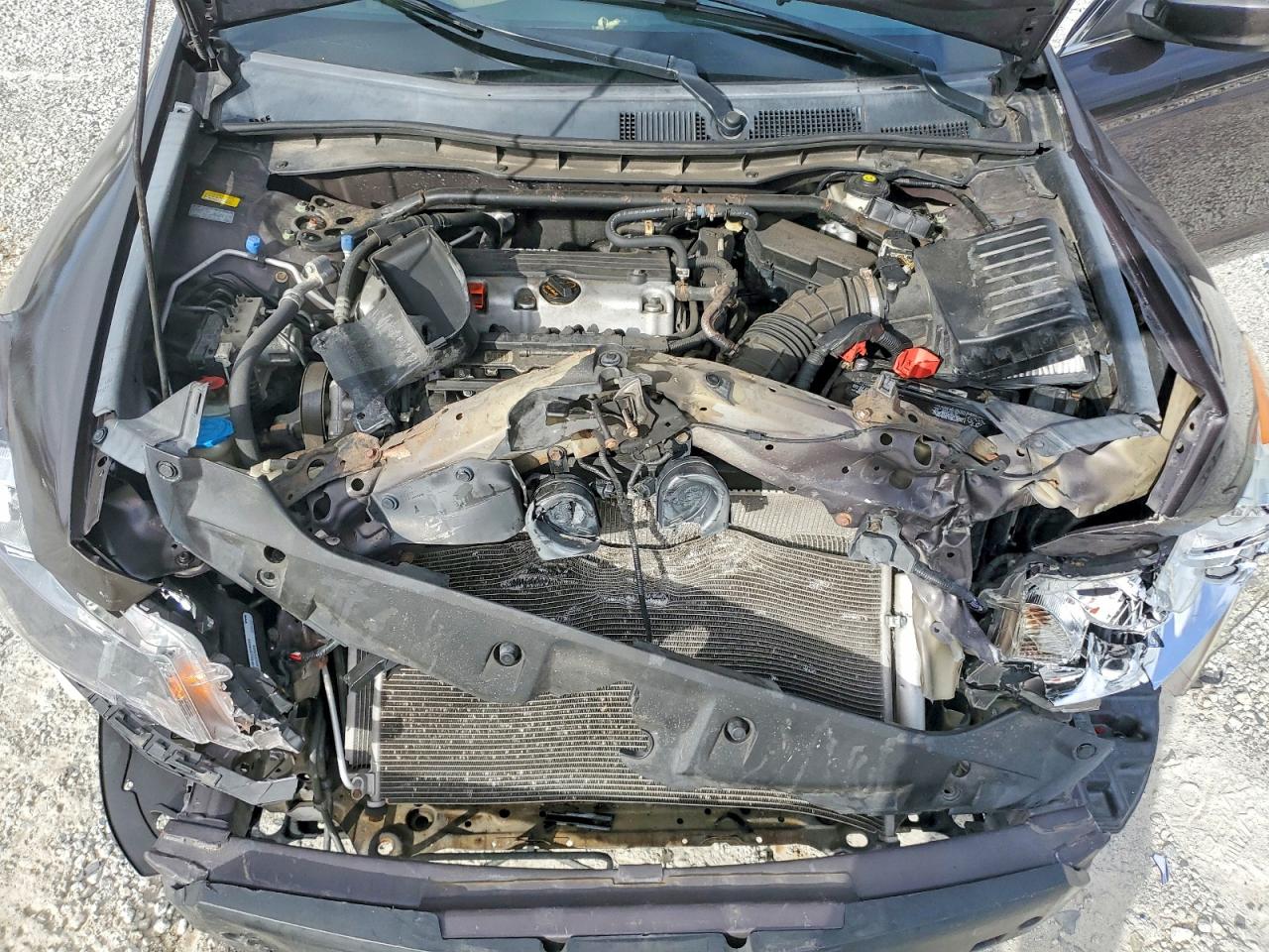 2011 Honda Accord Exl Tan vin: 1HGCP2F83BA111352