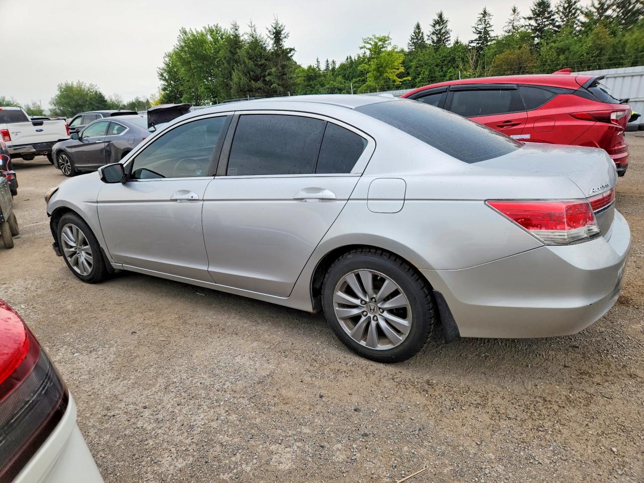 2011 Honda Accord Exl Silver vin: 1HGCP2F83BA804678