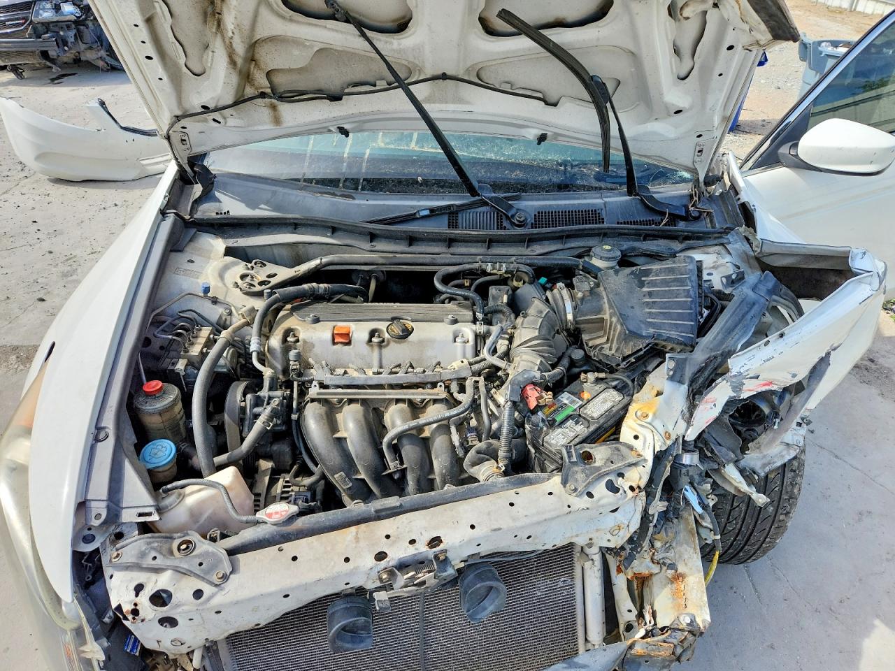2012 Honda Accord Exl White vin: 1HGCP2F83CA029350