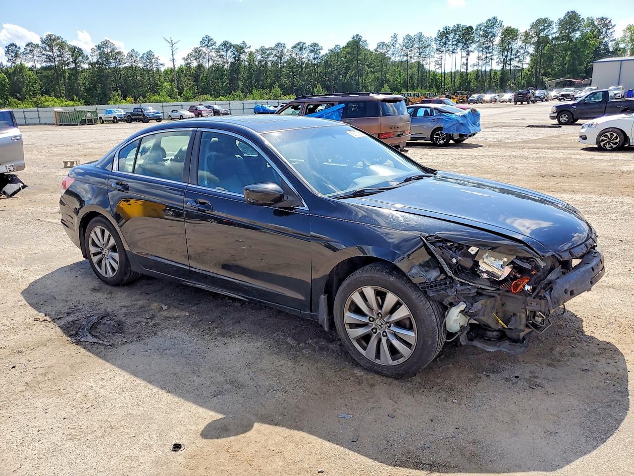 2012 Honda Accord Exl Black vin: 1HGCP2F83CA035214