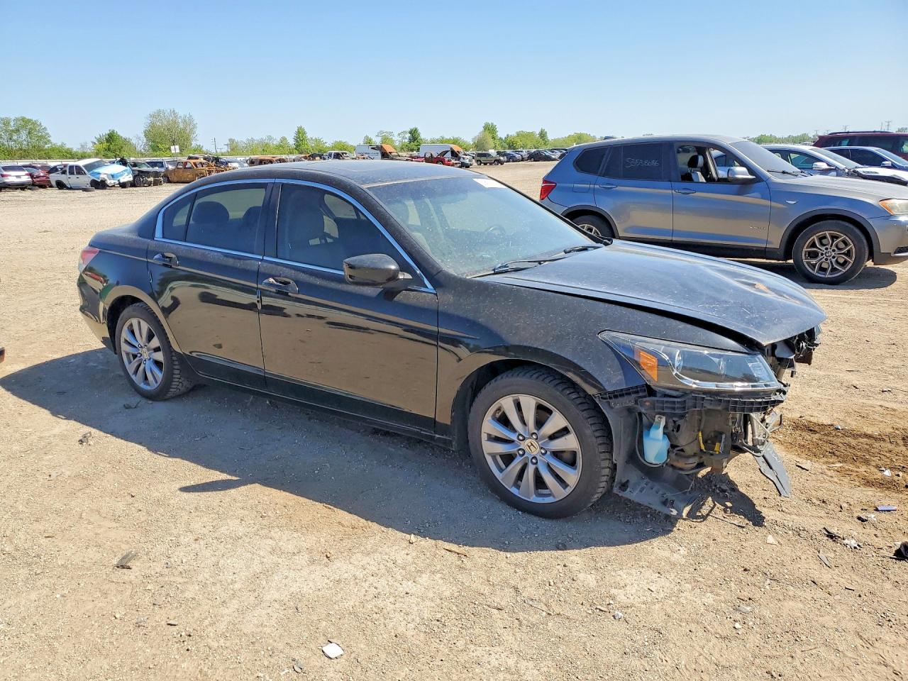 2012 Honda Accord Exl Black vin: 1HGCP2F83CA171763