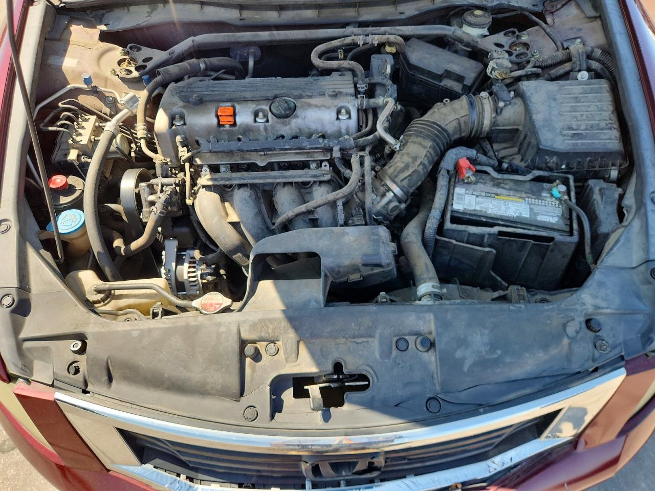 2010 Honda Accord Exl Burgundy vin: 1HGCP2F84AA033873