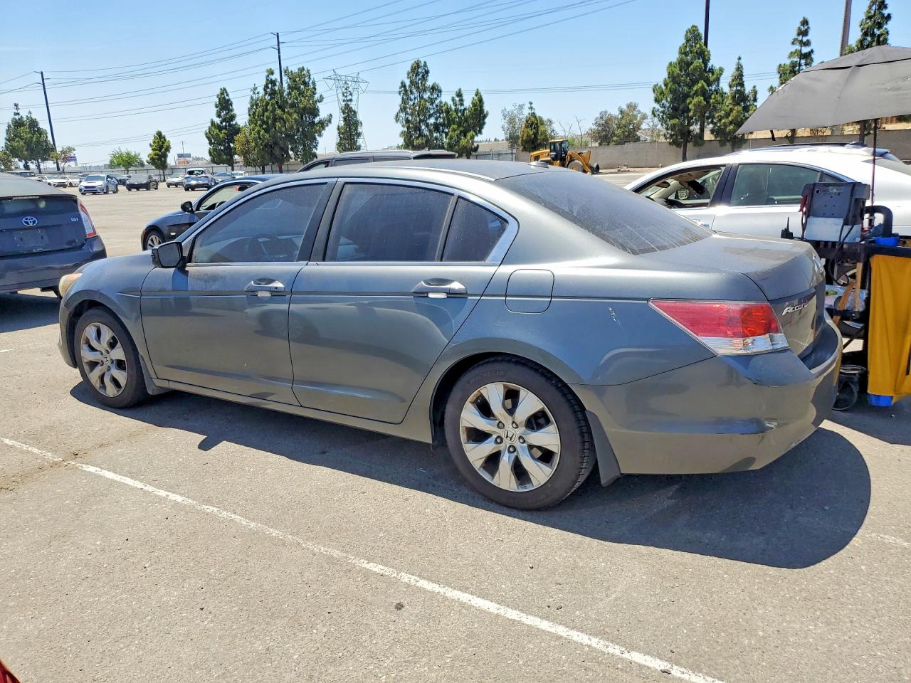 2010 Honda Accord Exl Gray vin: 1HGCP2F84AA048017