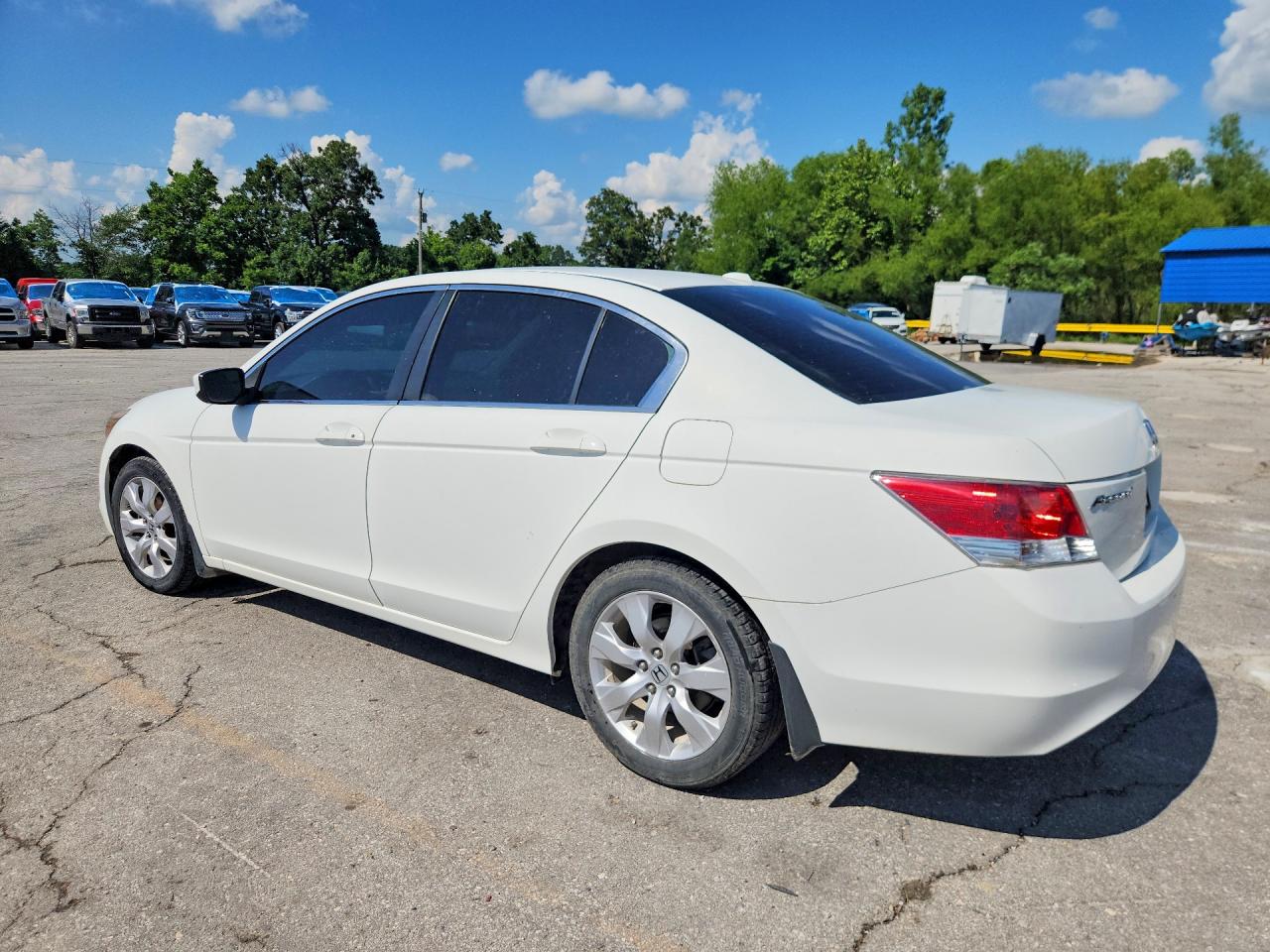 2010 Honda Accord Exl White vin: 1HGCP2F84AA062192