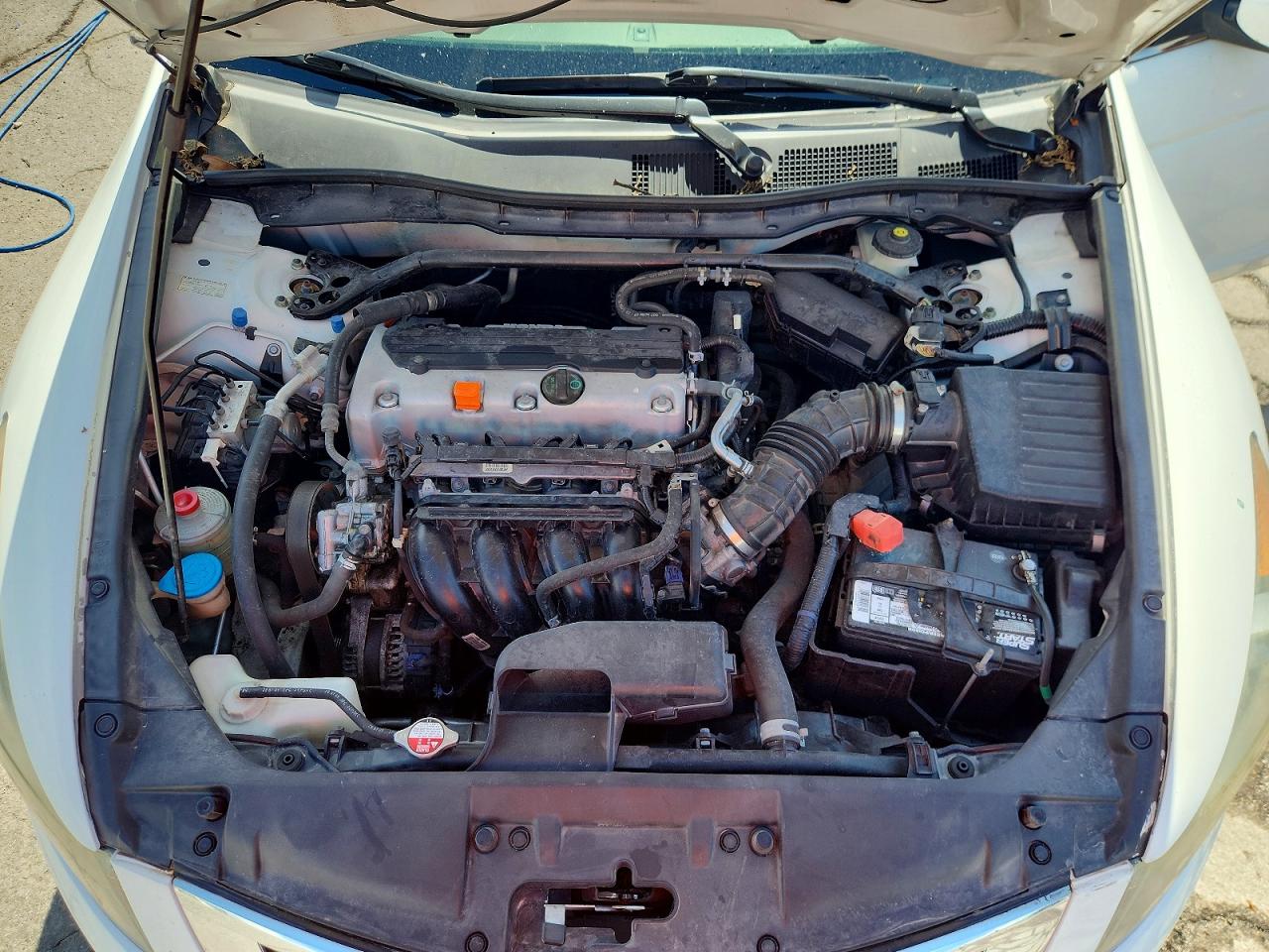 2010 Honda Accord Exl White vin: 1HGCP2F84AA062192