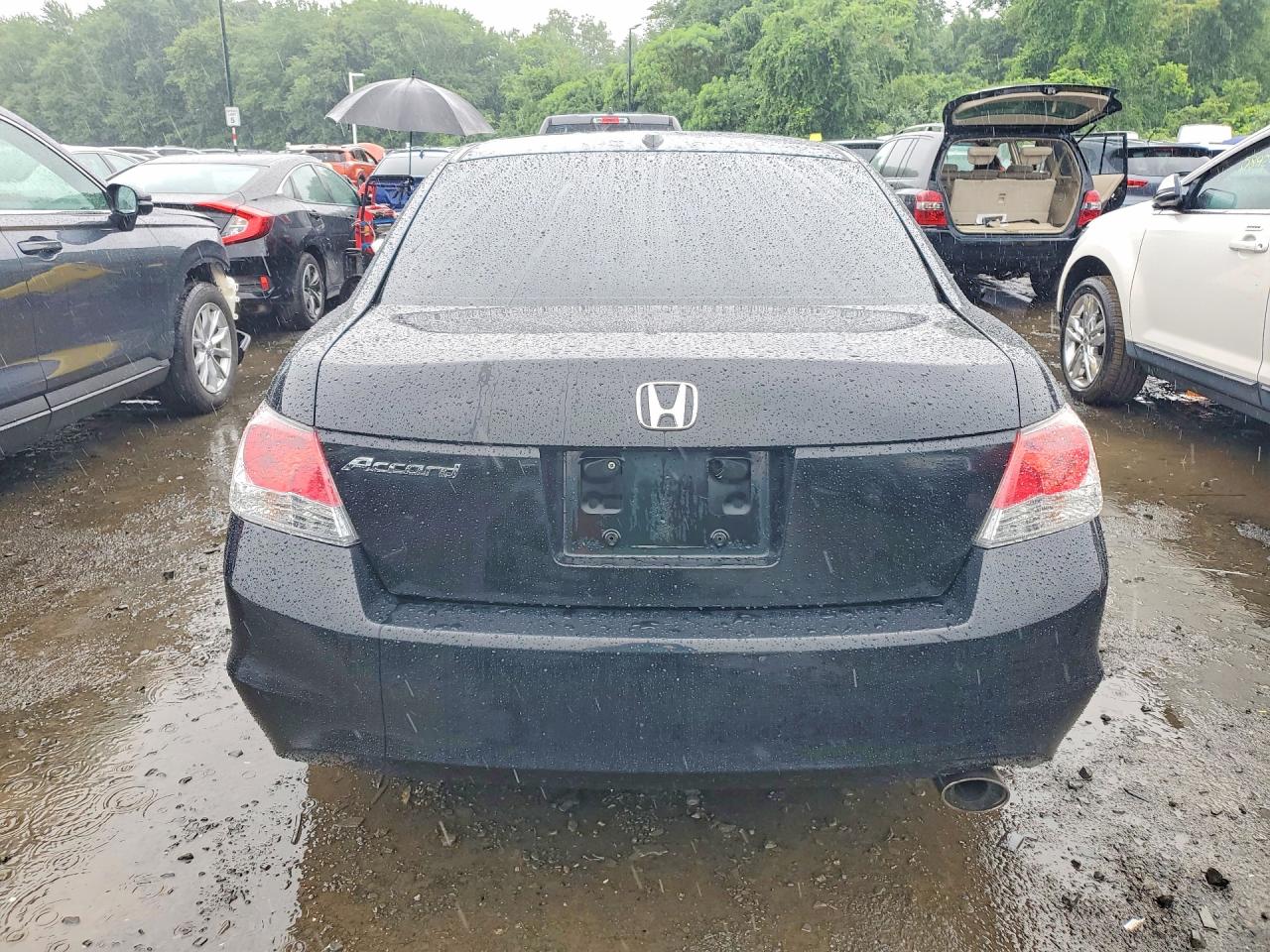2010 Honda Accord Exl Black vin: 1HGCP2F84AA068574