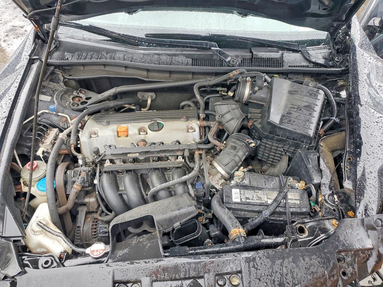 2010 Honda Accord Exl Black vin: 1HGCP2F84AA068574