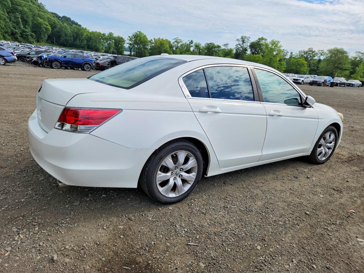 2010 Honda Accord Exl Белый vin: 1HGCP2F84AA104697