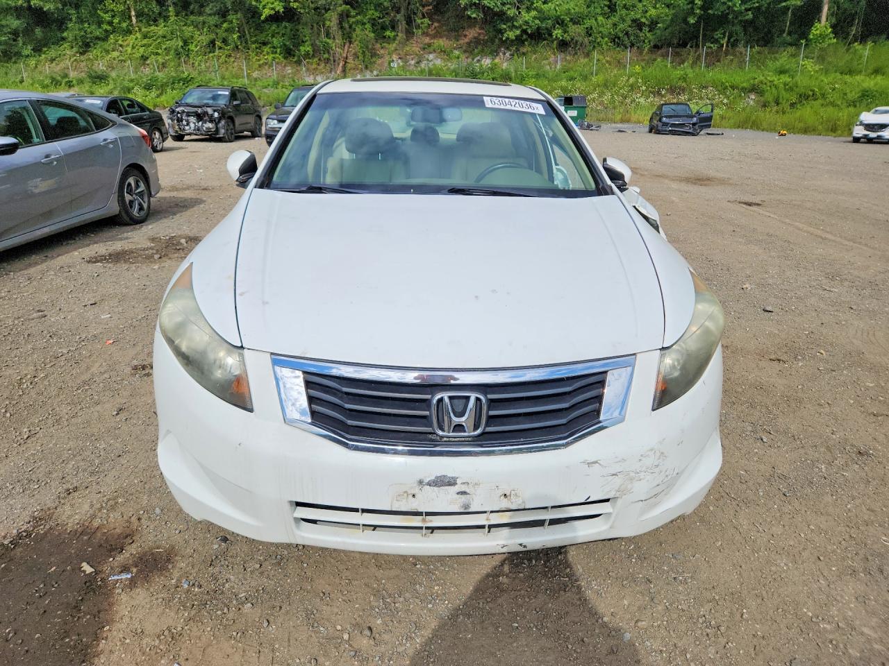 2010 Honda Accord Exl Белый vin: 1HGCP2F84AA104697