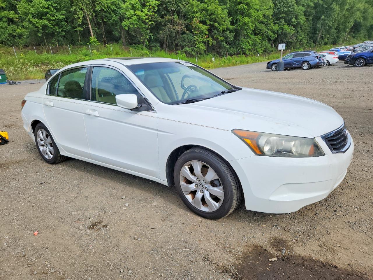 2010 Honda Accord Exl Белый vin: 1HGCP2F84AA104697