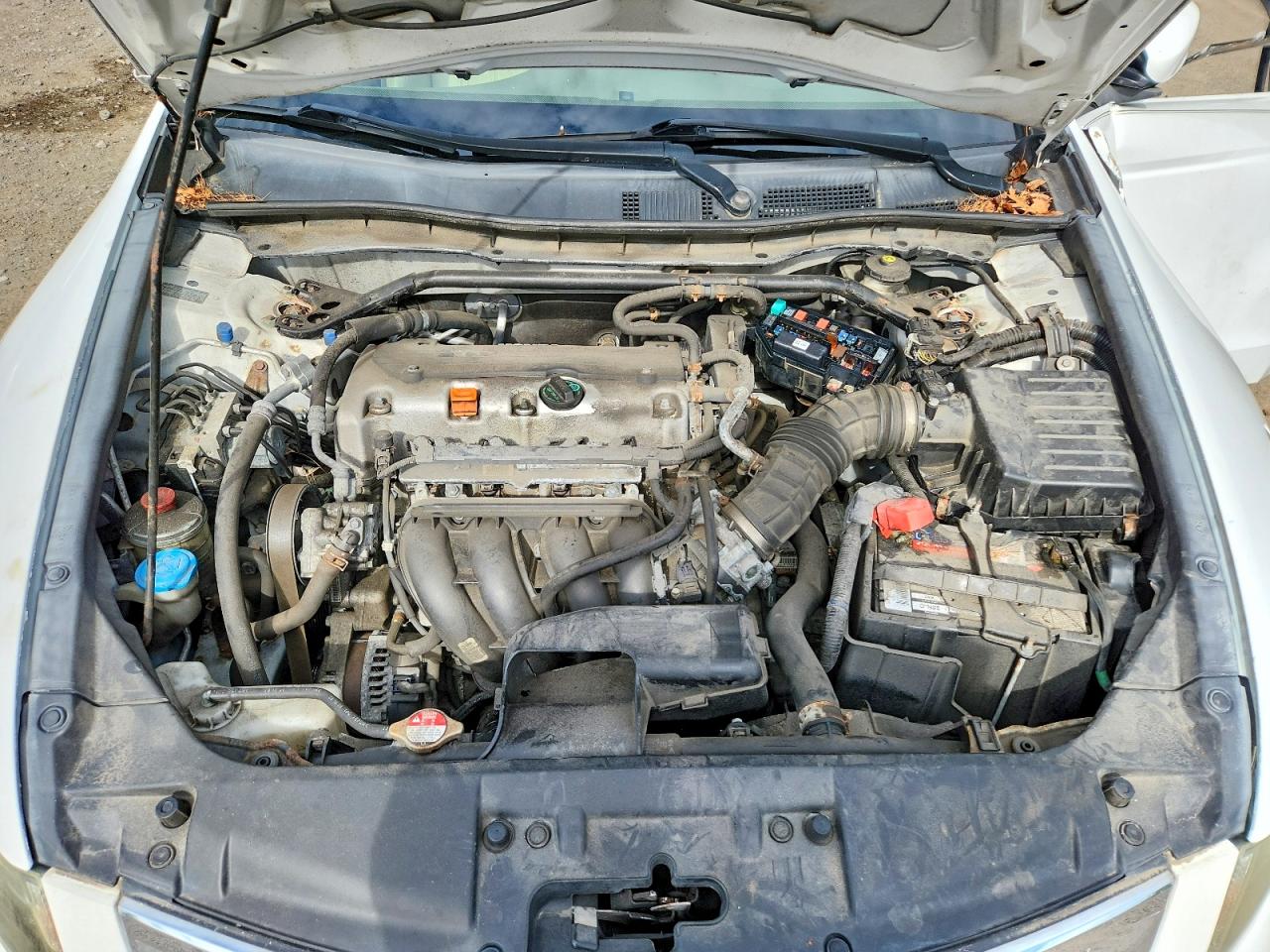 2010 Honda Accord Exl Белый vin: 1HGCP2F84AA104697