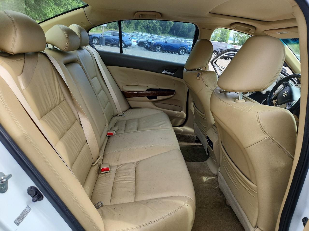 2010 Honda Accord Exl Белый vin: 1HGCP2F84AA104697