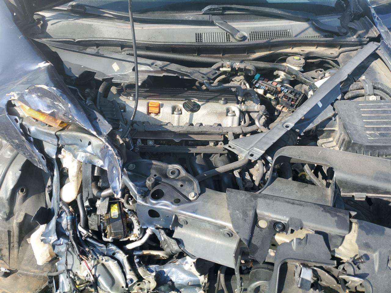2010 Honda Accord Exl Blue vin: 1HGCP2F84AA153043