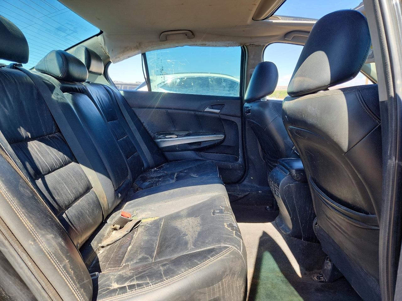 2010 Honda Accord Exl Black vin: 1HGCR2F84AA180615