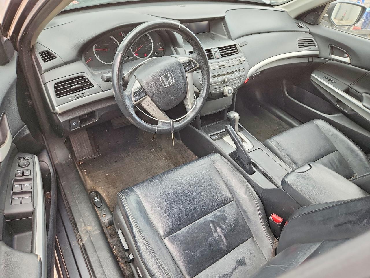 2010 Honda Accord Exl Gray vin: 1HGCP2F84AA197995
