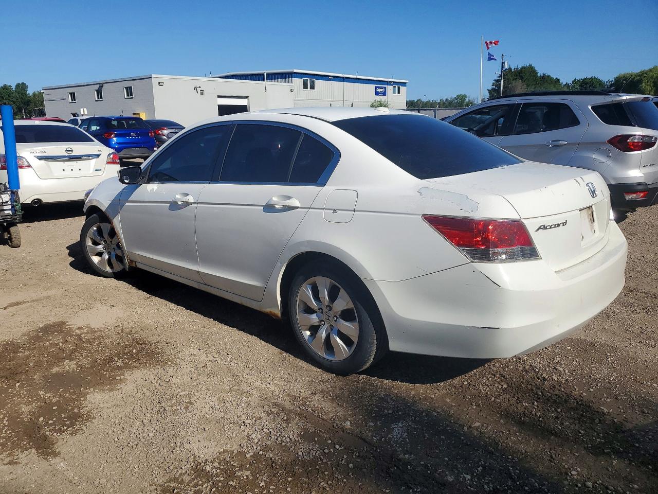 2010 Honda Accord Exl Белый vin: 1HGCP2F84AA800217