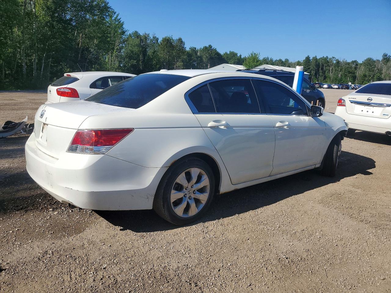2010 Honda Accord Exl Белый vin: 1HGCP2F84AA800217